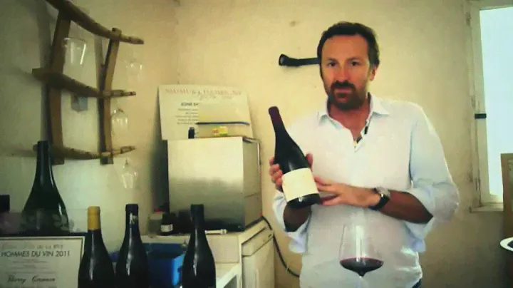 Saumur Champigny Domaine des Roches Neuves - Vin de Loire