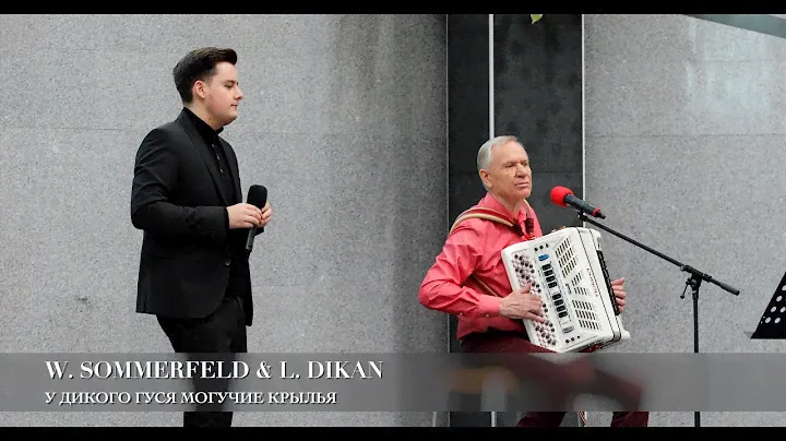 У дикого гуся могучие крылья. W. Sommerfeld & L. Dikan
