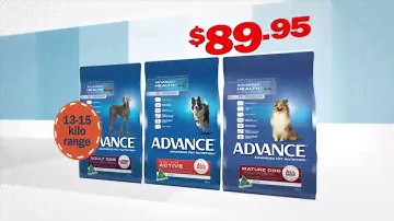 Pets Domain December Specials