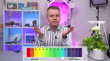 Нормализатор pH на Arduino, для гидропоники, бассейна, воды. Для поддержания уровня кислотности.