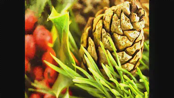 Xmass Free - Public Domain Images. Stock Free Images.