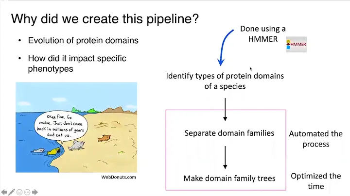 Domain family finder pipeline