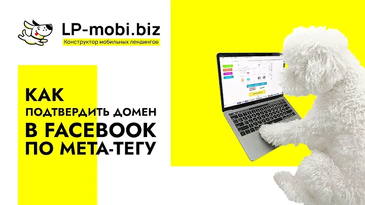 Как подтвердить домен в Facebook по мета-тегу с помощью LP-MOBI