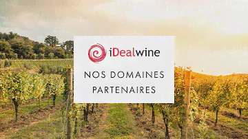 Présentation du domaine des Roches Neuves
