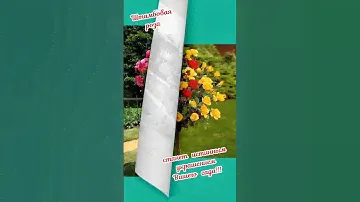 штамбовая роза