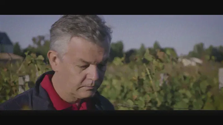 Винодельческое хозяйство Chateau La Grace Dieu des Prieurs, Saint-Emilion Grand Cru, Bordeaux