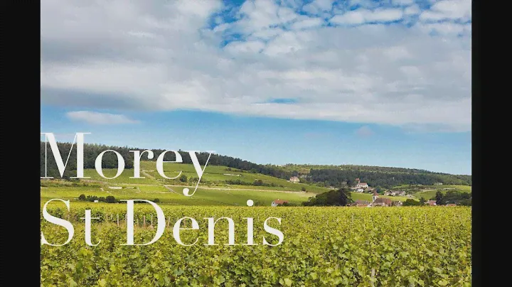 Morey St Denis : Grand Cru, Premier Cru, Village