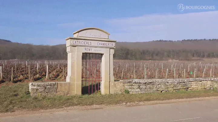 The Côte de Nuits explained by Jean-Pierre Renard
