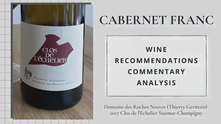 Dom des Roches Neuves, 2017 Clos de l'Echelier Saumur-Champigny, Loire France | Cab Franc Chronicles
