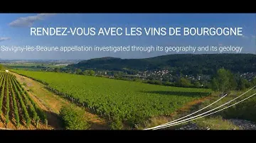 The Savigny-lès-Beaune appellation investigated through its geography and its geology