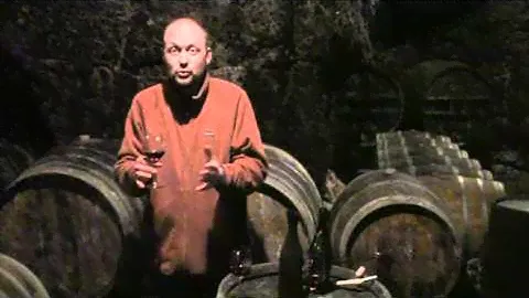 Domaine Filliatreau - Saumur & Saumur Champigny Wines