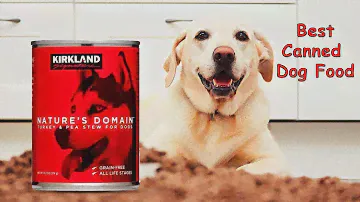 7 best Kirkland nature’s domain dog food ingredients