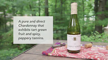Domaine de la Denante Saint-Véran White Burgundy 2020