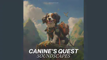 Dog's Domain