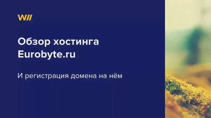 Видео обзор Eurobyte.ru и регистрация домена на нем.